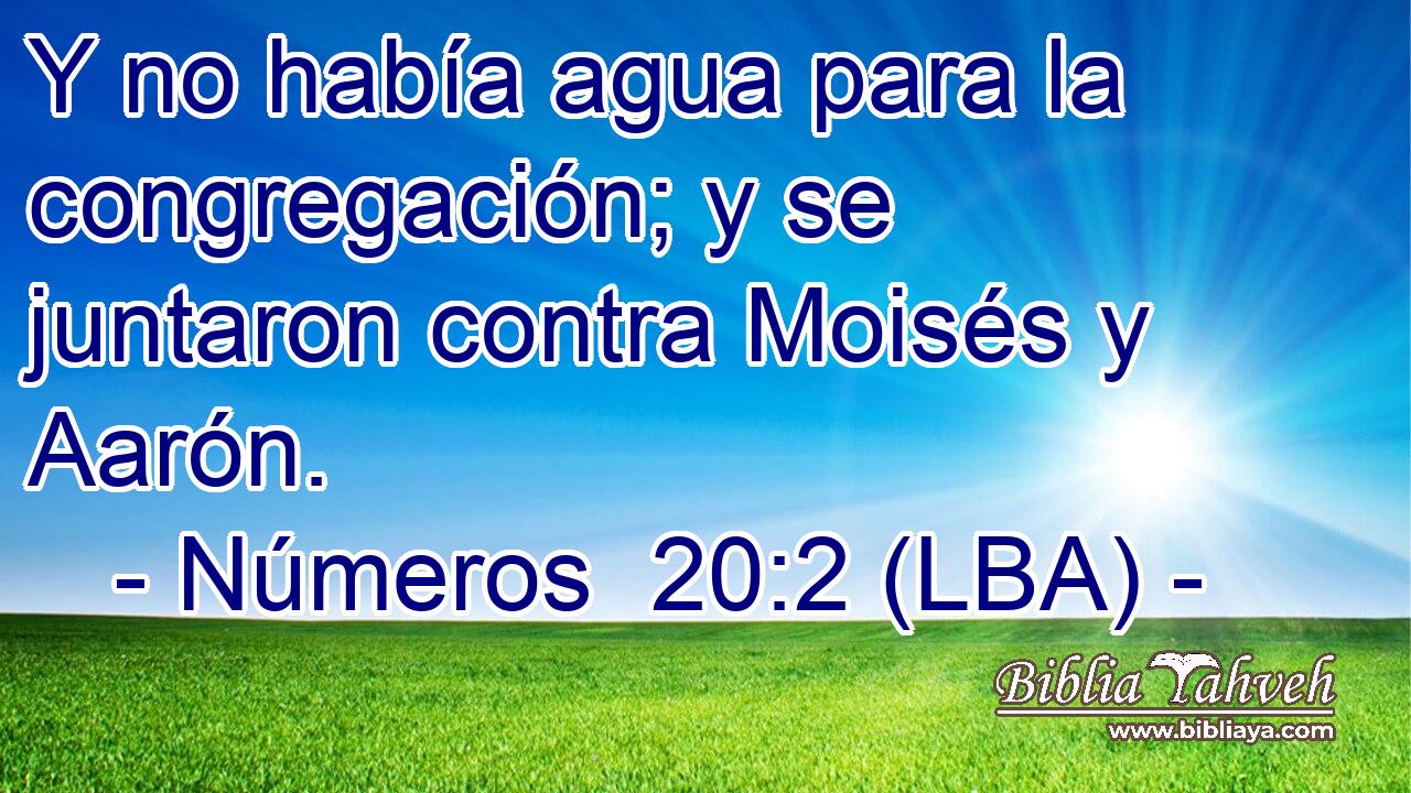 Y no había agua para la congregación; y se juntaron contra Moisés y Aarón.
