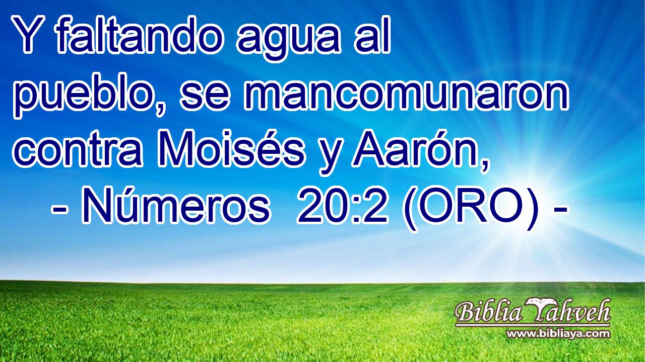  Y faltando agua al pueblo, se mancomunaron contra Moisés y Aarón, 