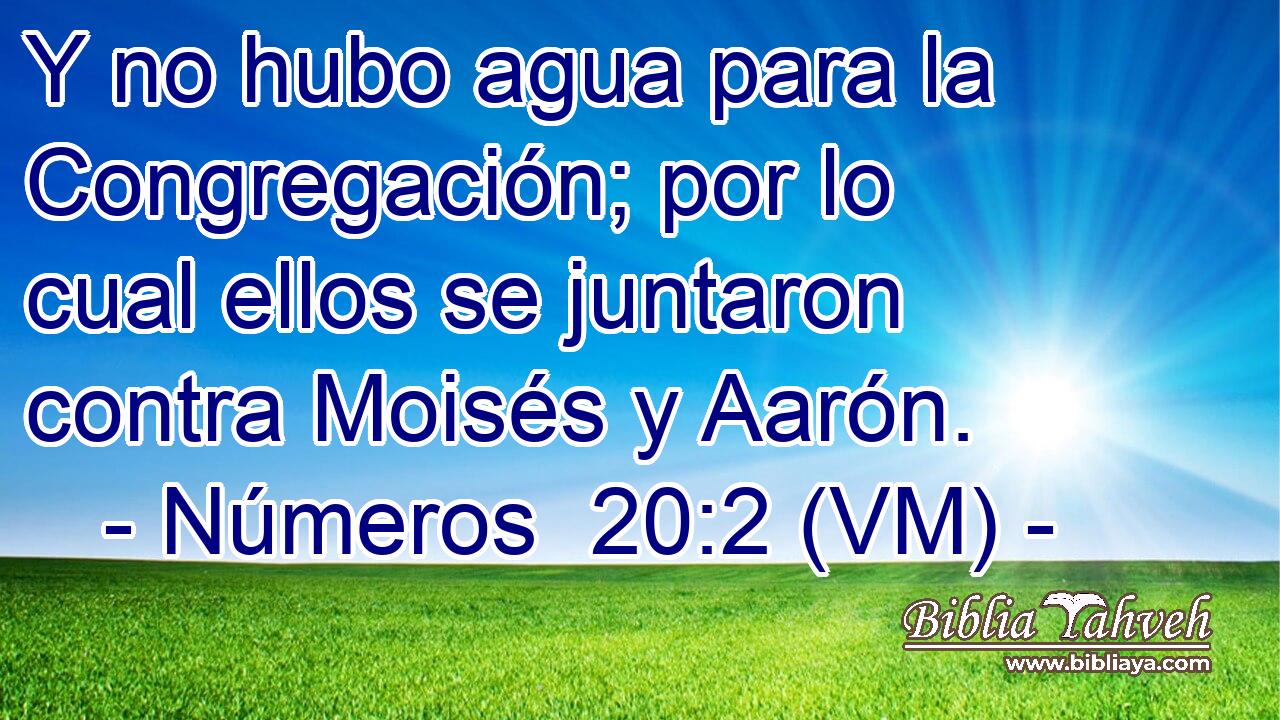  Y no hubo agua para la Congregación; por lo cual ellos se juntaron contra Moisés y Aarón. 