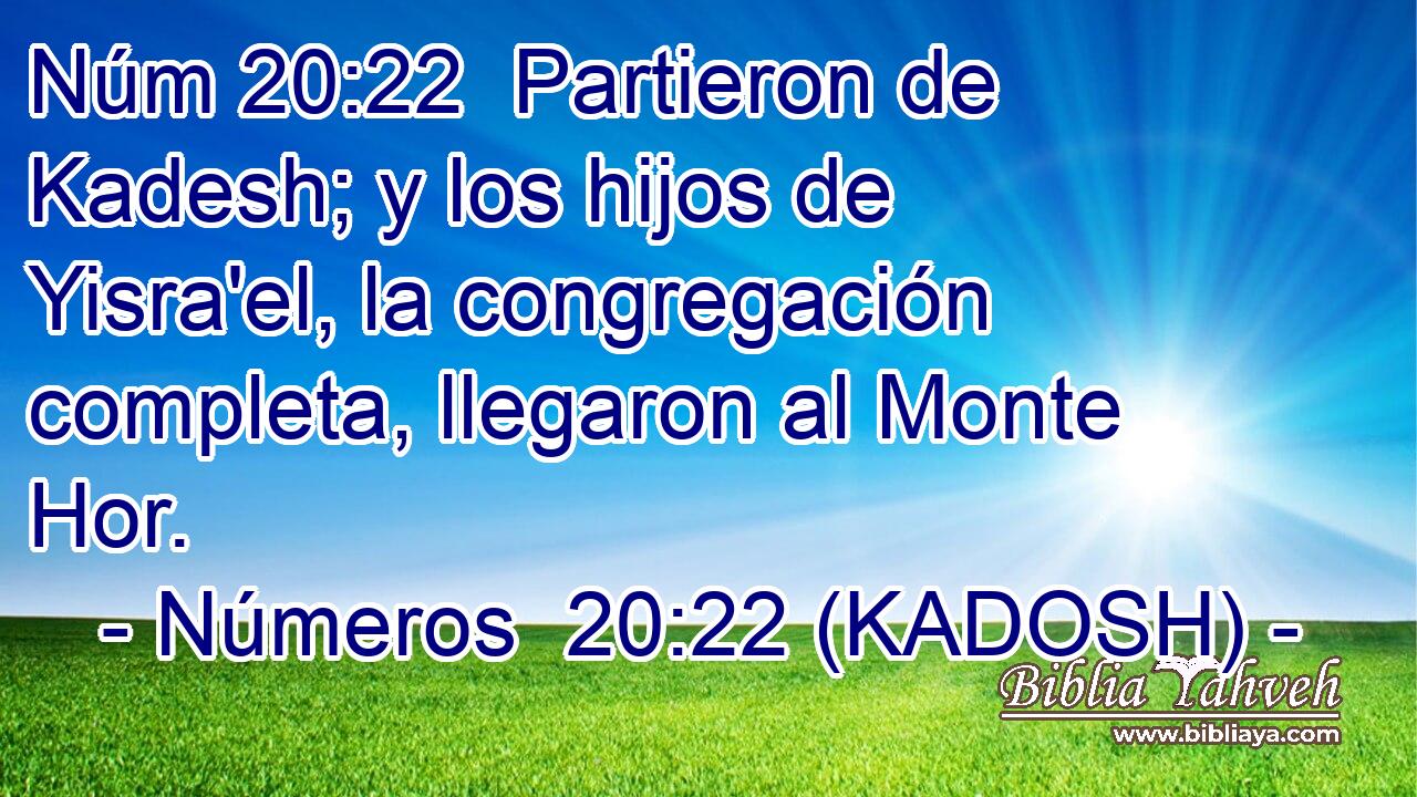  Partieron de Kadesh; y los hijos de Yisra'el, la congregación completa, llegaron al Monte Hor. 