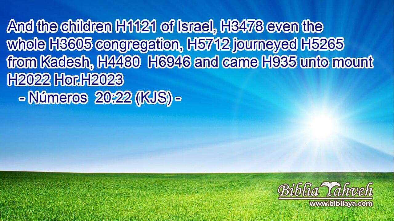 And the children H1121 of Israel, H3478 even the whole H3605 congregation, H5712 journeyed H5265 from Kadesh, H4480  H6946 and came H935 unto mount H2022 Hor.H2023