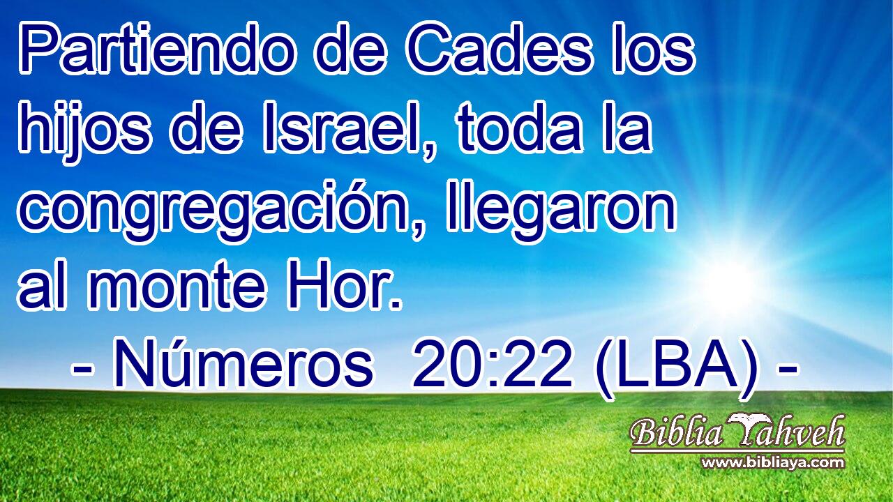 Partiendo de Cades los hijos de Israel, toda la congregación, llegaron al monte Hor.