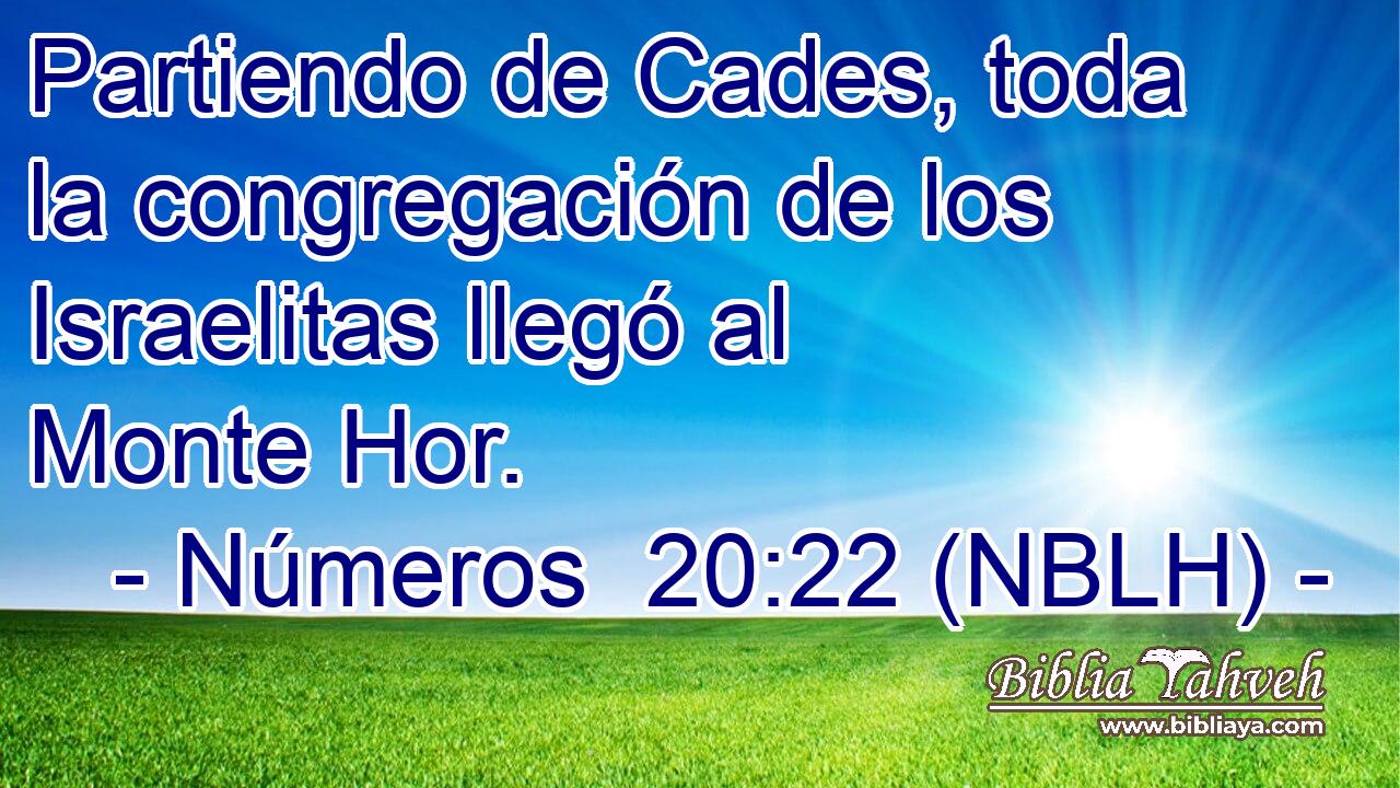  Partiendo de Cades, toda la congregación de los Israelitas llegó al Monte Hor. 