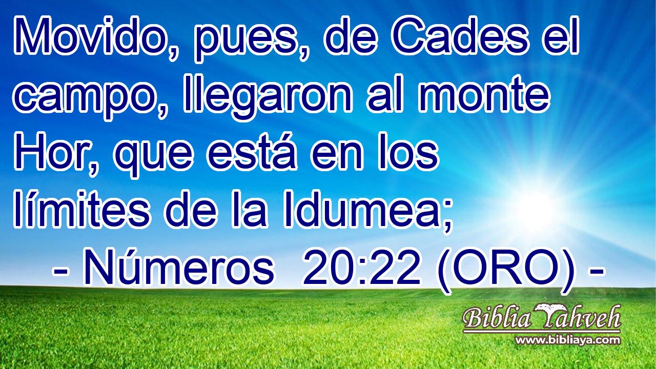  Movido, pues, de Cades el campo, llegaron al monte Hor, que está en los límites de la Idumea; 