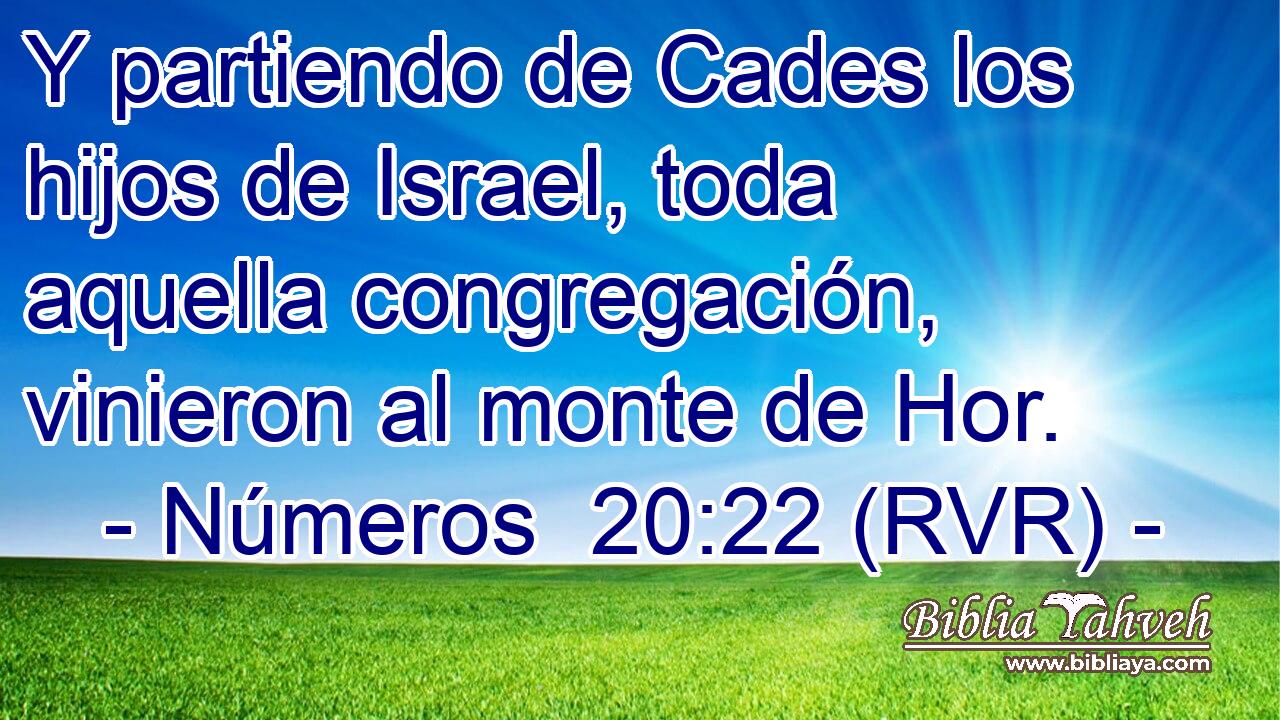 Y partiendo de Cades los hijos de Israel, toda aquella congregación, vinieron al monte de Hor.
