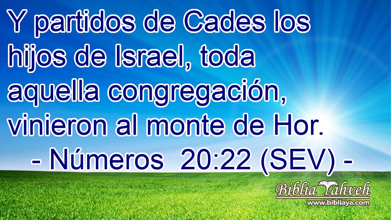 Y partidos de Cades los hijos de Israel, toda aquella congregación, vinieron al monte de Hor.