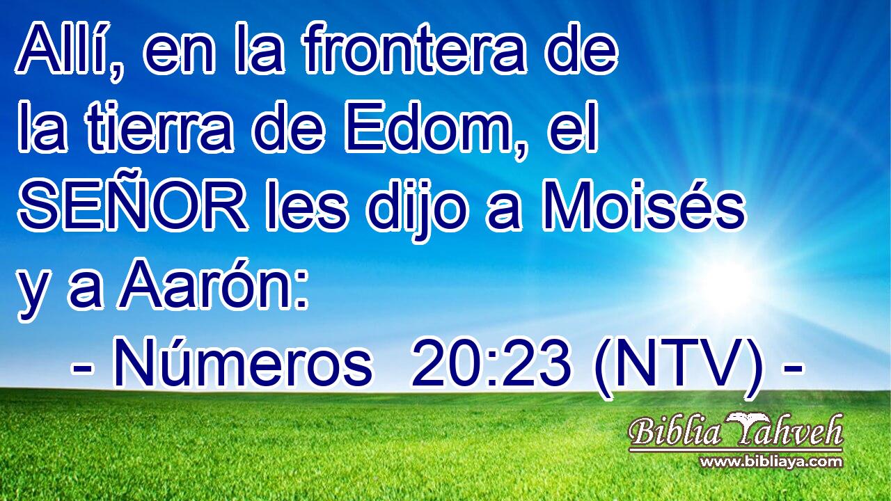 Allí, en la frontera de la tierra de Edom, el SEÑOR les dijo a Moisés y a Aarón: