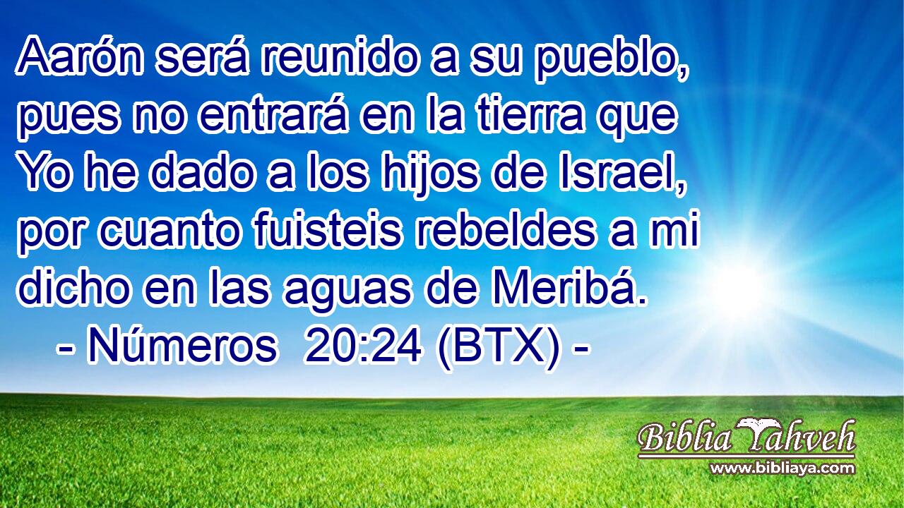 Aarón será reunido a su pueblo, pues no entrará en la tierra que Yo he dado a los hijos de Israel, por cuanto fuisteis rebeldes a mi dicho en las aguas de Meribá.