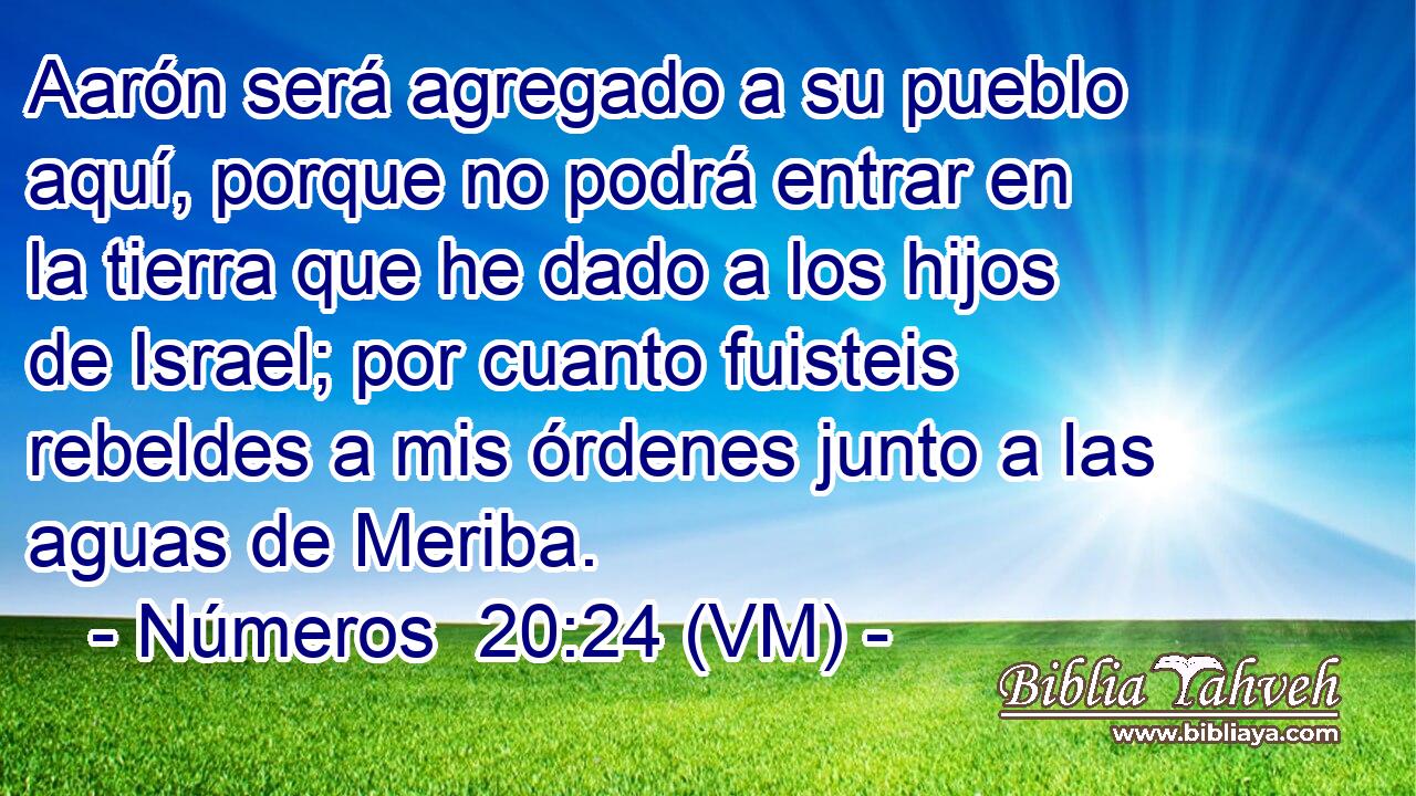  Aarón será agregado a su pueblo aquí, porque no podrá entrar en la tierra que he dado a los hijos de Israel; por cuanto fuisteis rebeldes a mis órdenes junto a las aguas de Meriba. 