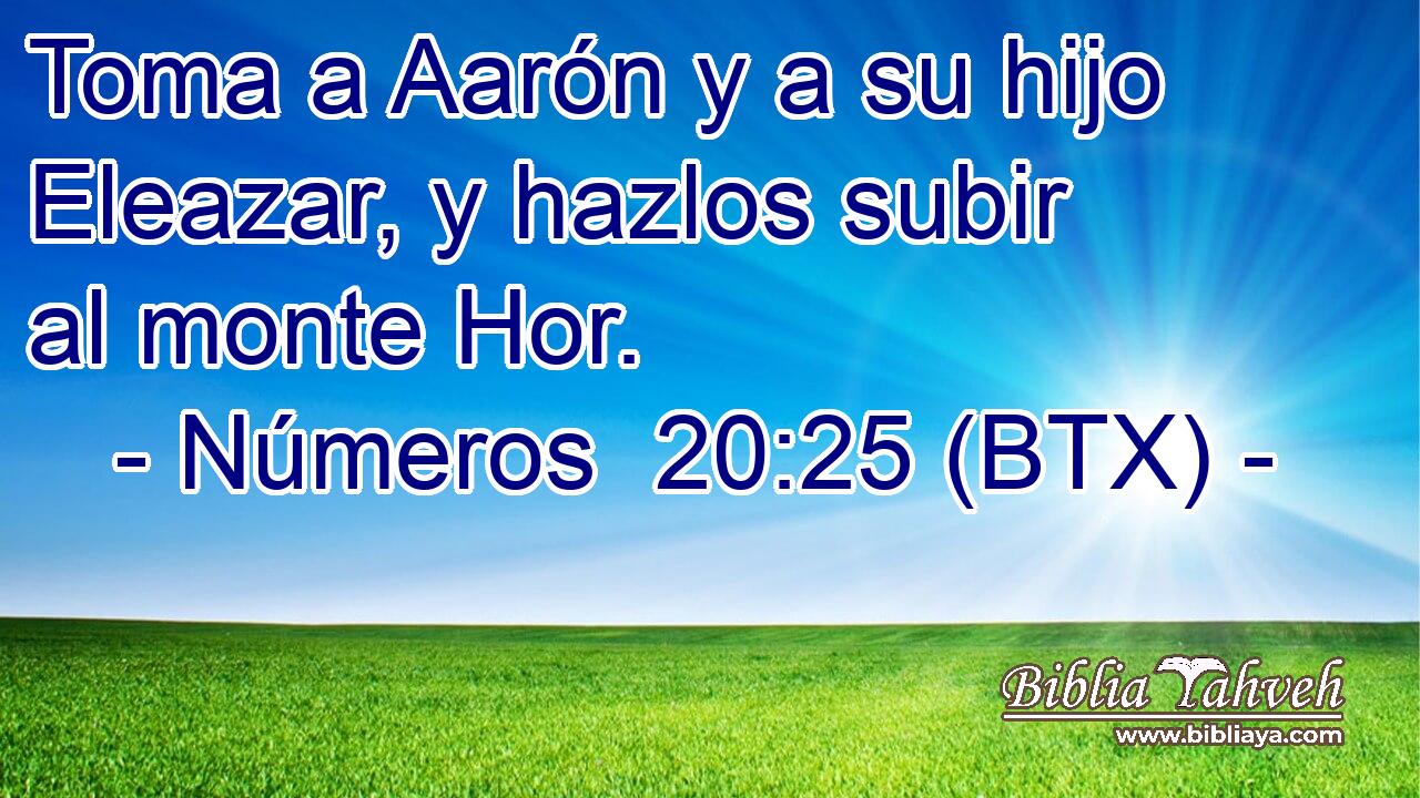 Toma a Aarón y a su hijo Eleazar, y hazlos subir al monte Hor.
