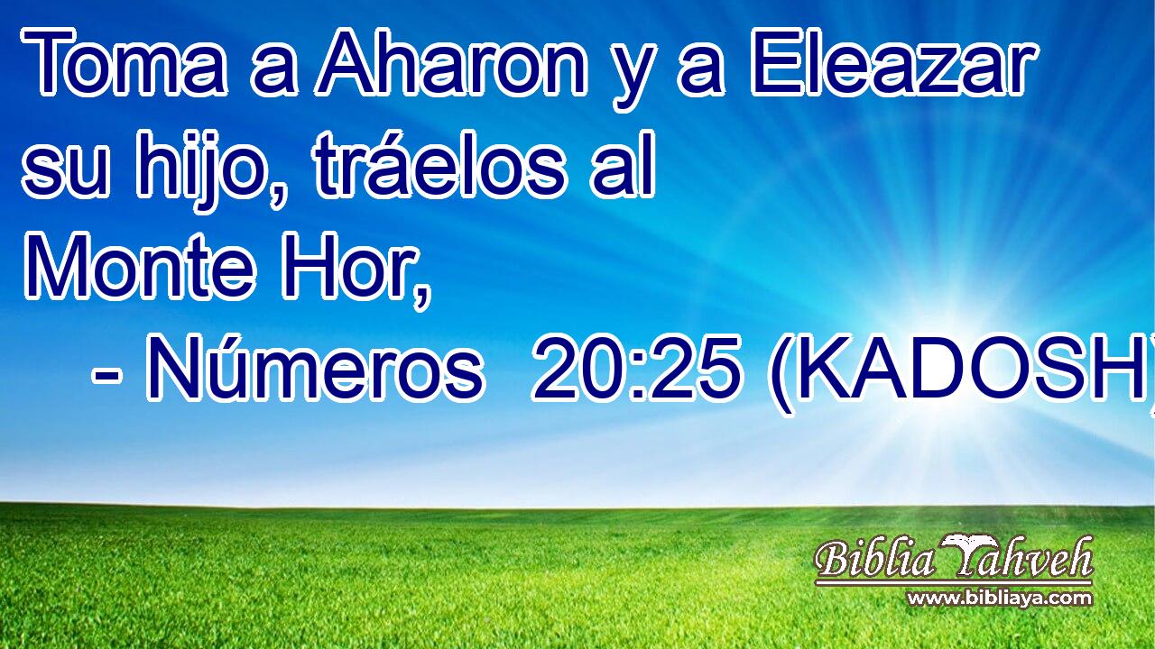  Toma a Aharon y a Eleazar su hijo, tráelos al Monte Hor, 