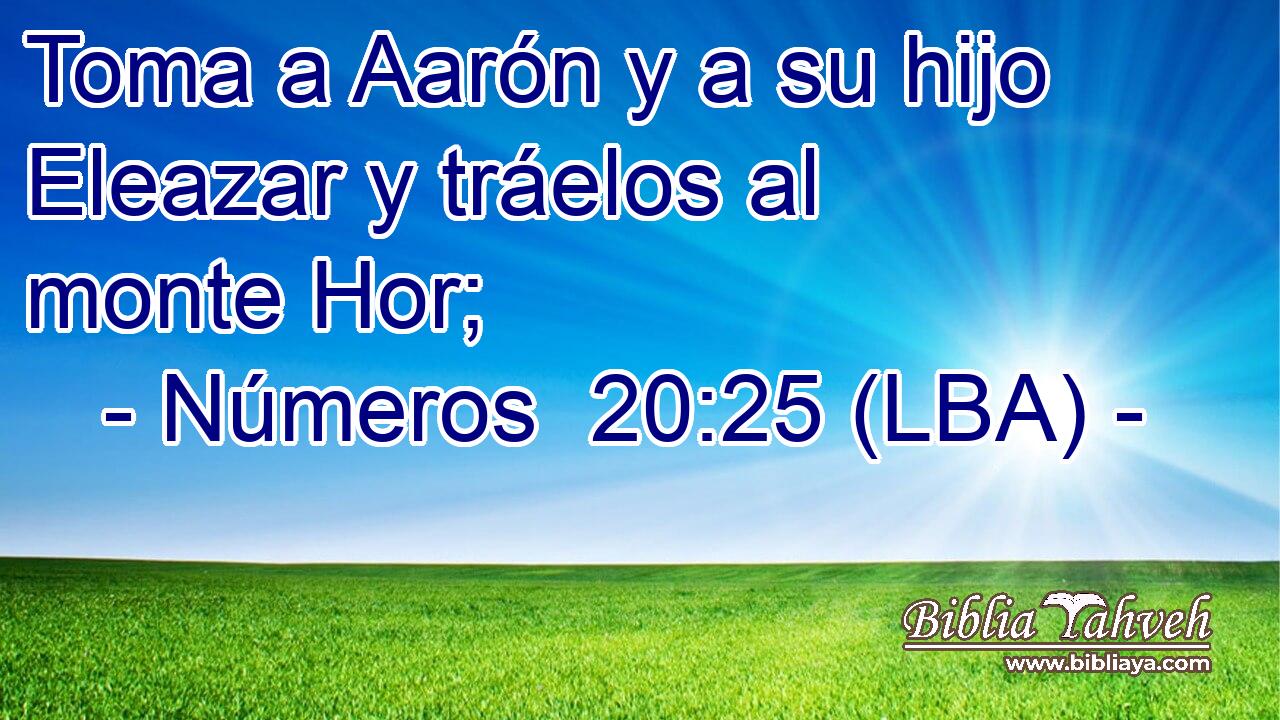 Toma a Aarón y a su hijo Eleazar y tráelos al monte Hor;