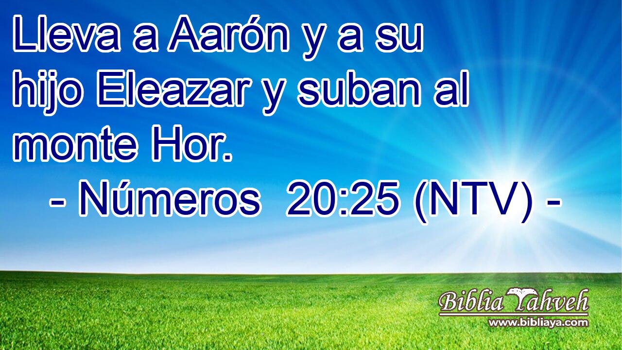 Lleva a Aarón y a su hijo Eleazar y suban al monte Hor.