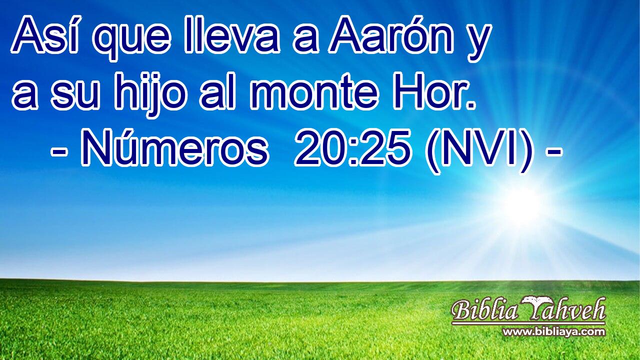  Así que lleva a Aarón y a su hijo al monte Hor. 