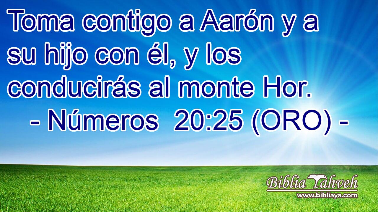  Toma contigo a Aarón y a su hijo con él, y los conducirás al monte Hor. 