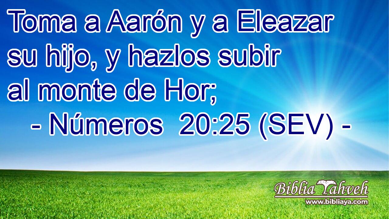 Toma a Aarón y a Eleazar su hijo, y hazlos subir al monte de Hor;