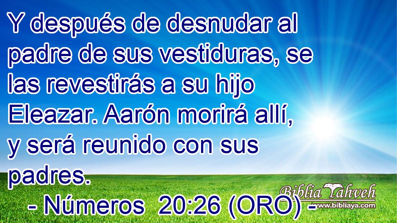  Y después de desnudar al padre de sus vestiduras, se las revestirás a su hijo Eleazar. Aarón morirá allí, y será reunido con sus padres. 