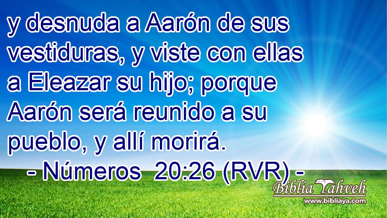 y desnuda a Aarón de sus vestiduras, y viste con ellas a Eleazar su hijo; porque Aarón será reunido a su pueblo, y allí morirá.