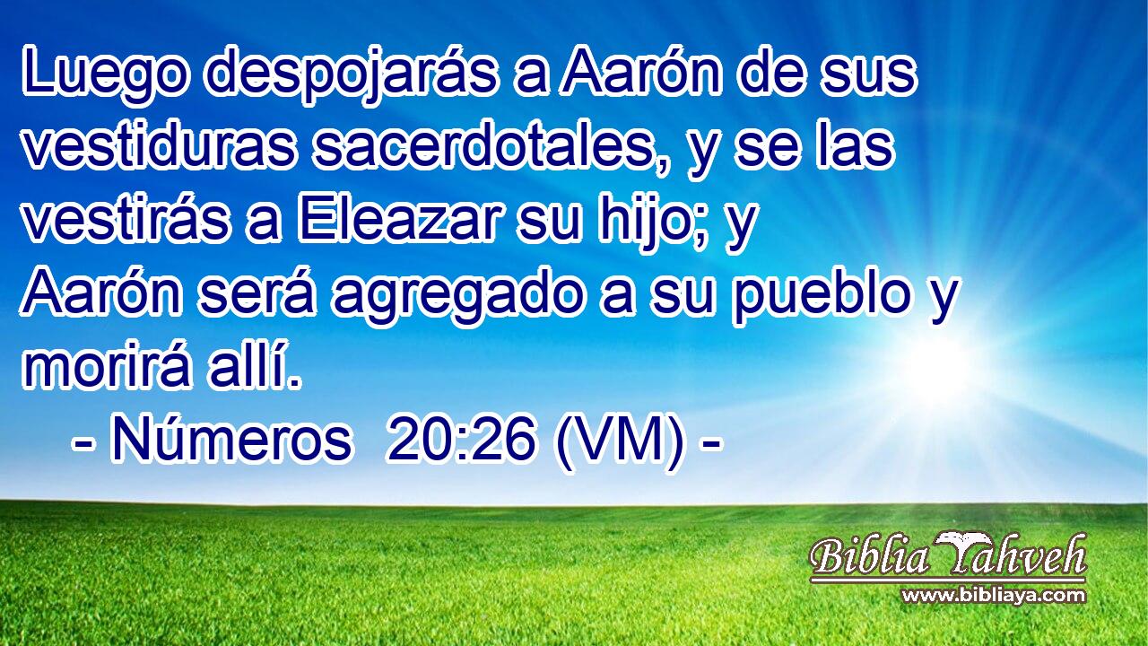  Luego despojarás a Aarón de sus vestiduras sacerdotales, y se las vestirás a Eleazar su hijo; y Aarón será agregado a su pueblo y morirá allí. 