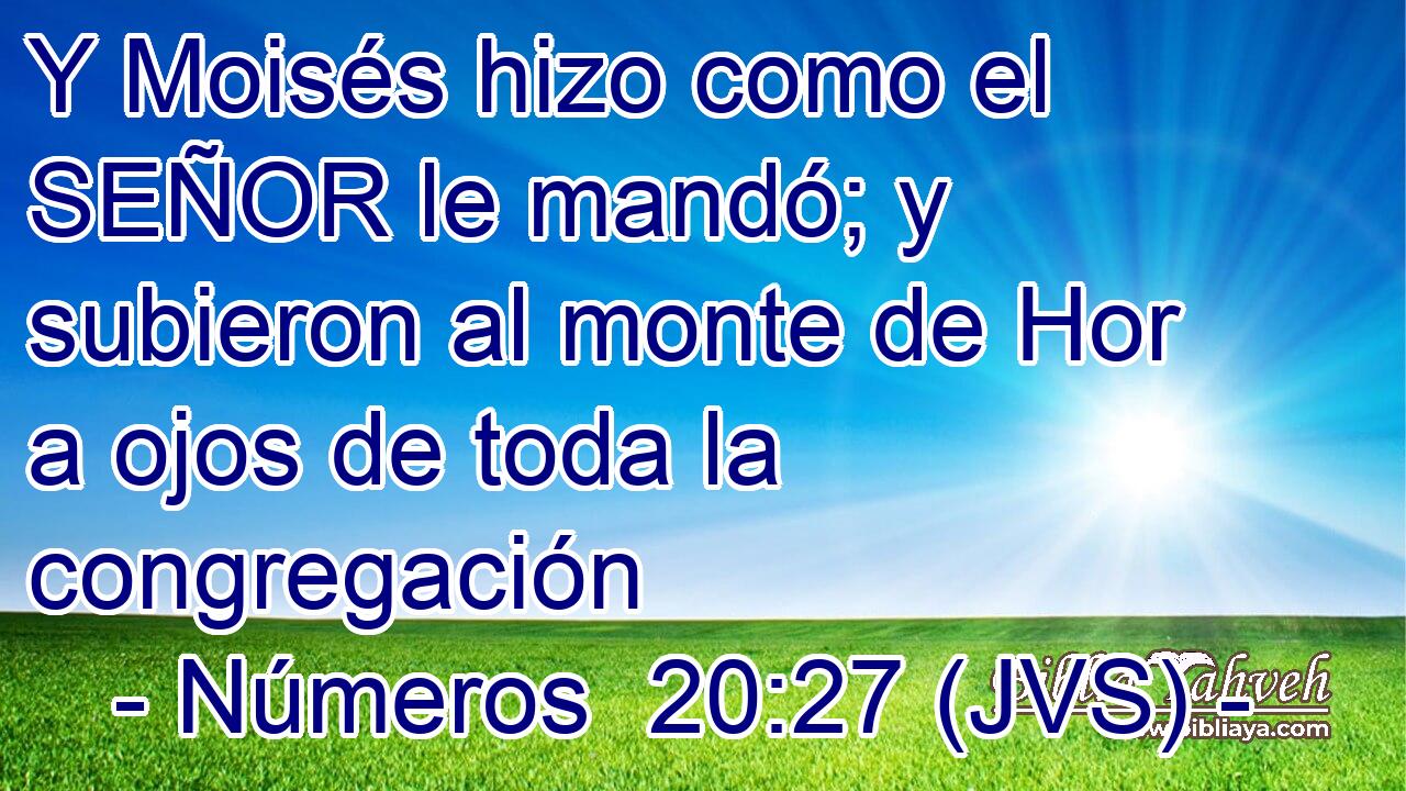 Y Moisés hizo como el SEÑOR le mandó; y subieron al monte de Hor a ojos de toda la congregación