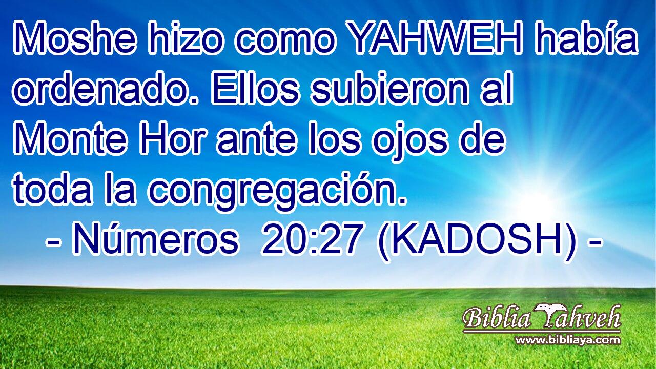  Moshe hizo como YAHWEH había ordenado. Ellos subieron al Monte Hor ante los ojos de toda la congregación. 
