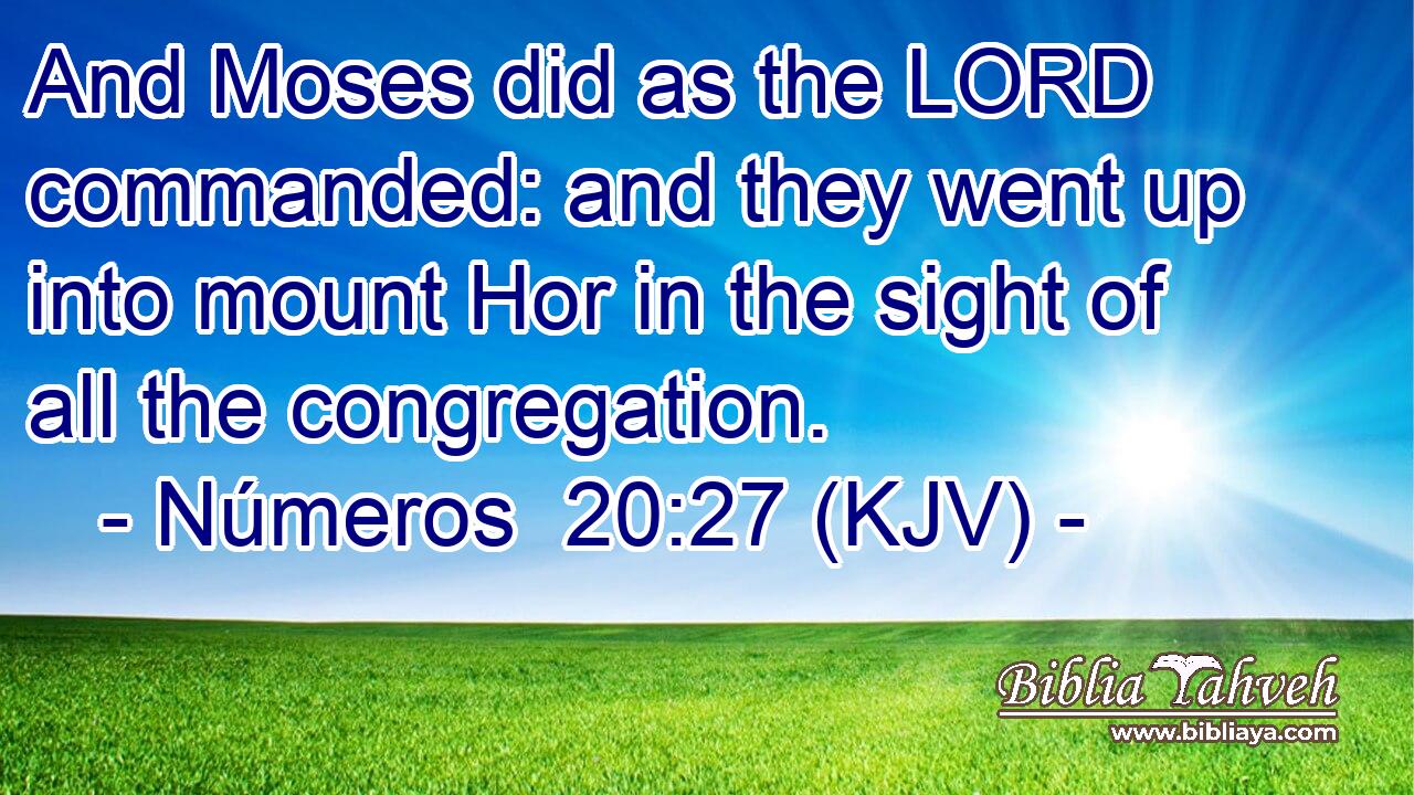 And Moses did as the LORD commanded: and they went up into mount Hor in the sight of all the congregation.