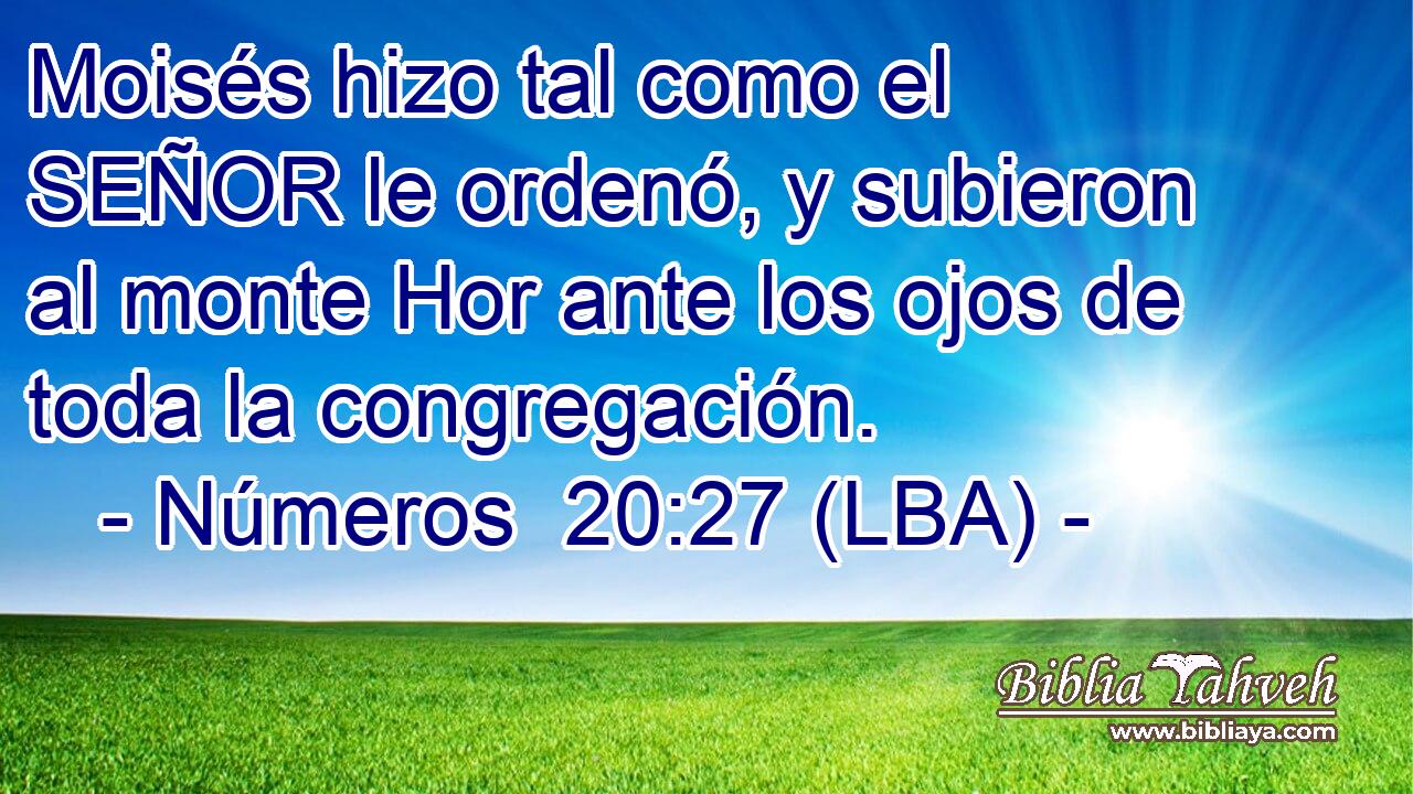 Moisés hizo tal como el SEÑOR le ordenó, y subieron al monte Hor ante los ojos de toda la congregación.