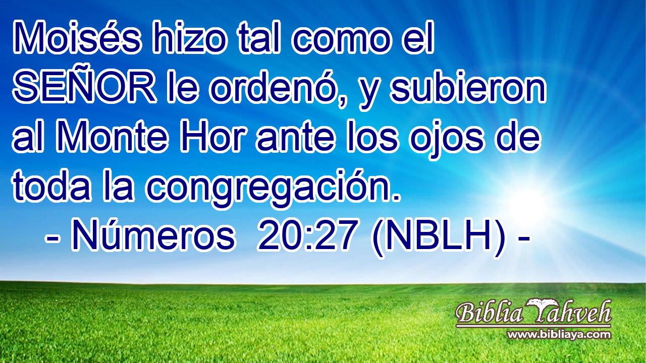  Moisés hizo tal como el SEÑOR le ordenó, y subieron al Monte Hor ante los ojos de toda la congregación. 