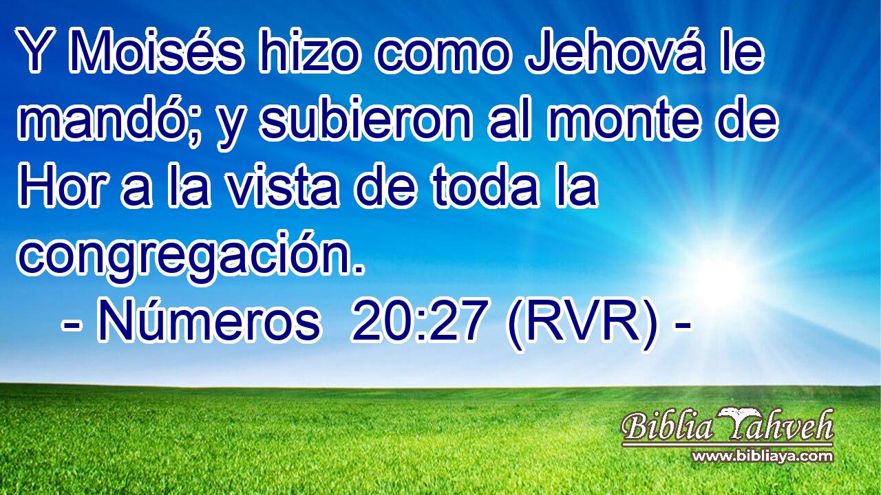 Y Moisés hizo como Jehová le mandó; y subieron al monte de Hor a la vista de toda la congregación.