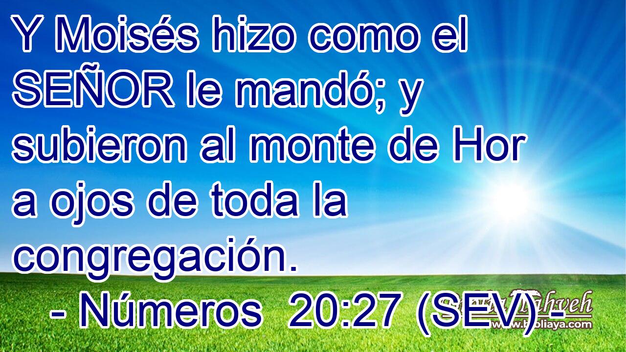 Y Moisés hizo como el SEÑOR le mandó; y subieron al monte de Hor a ojos de toda la congregación.