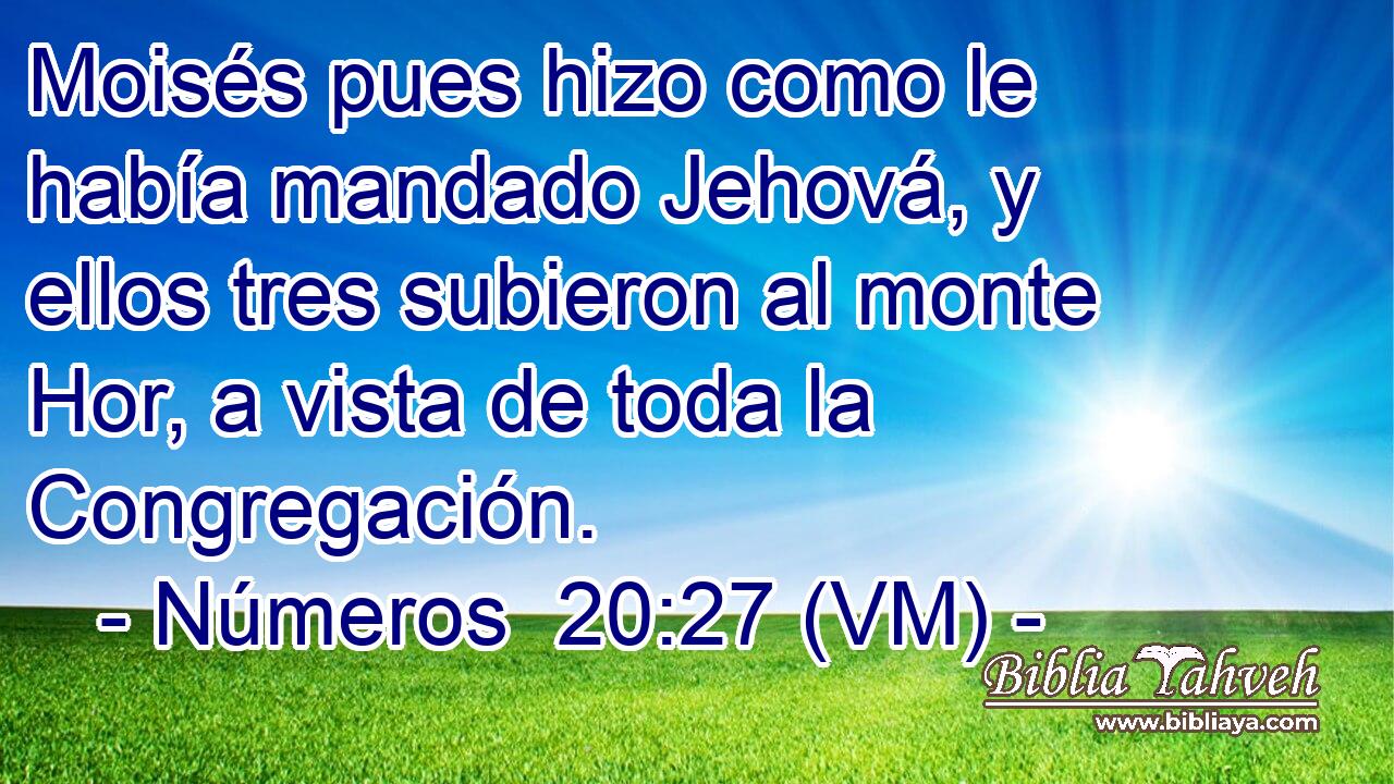  Moisés pues hizo como le había mandado Jehová, y ellos tres subieron al monte Hor, a vista de toda la Congregación. 