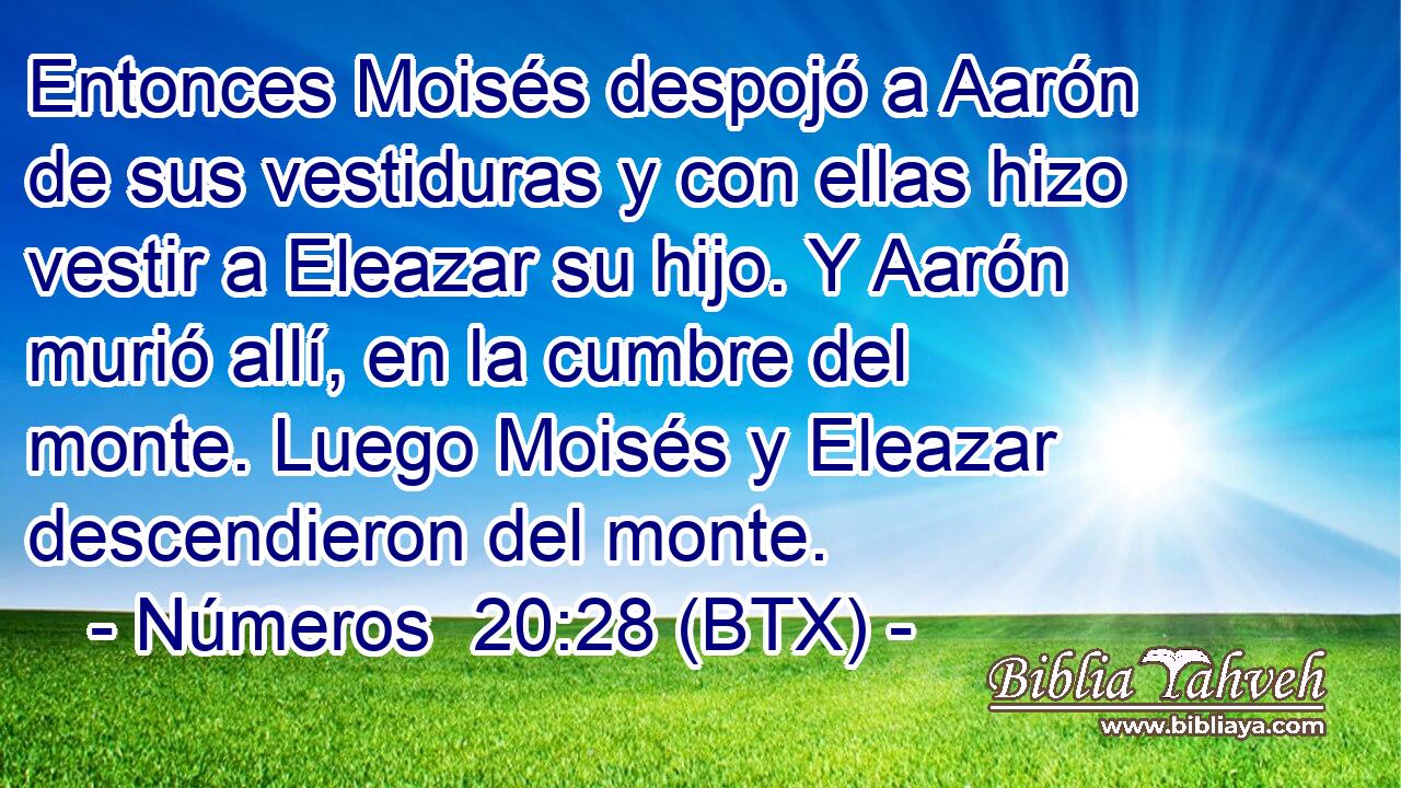 Entonces Moisés despojó a Aarón de sus vestiduras y con ellas hizo vestir a Eleazar su hijo. Y Aarón murió allí, en la cumbre del monte. Luego Moisés y Eleazar descendieron del monte.