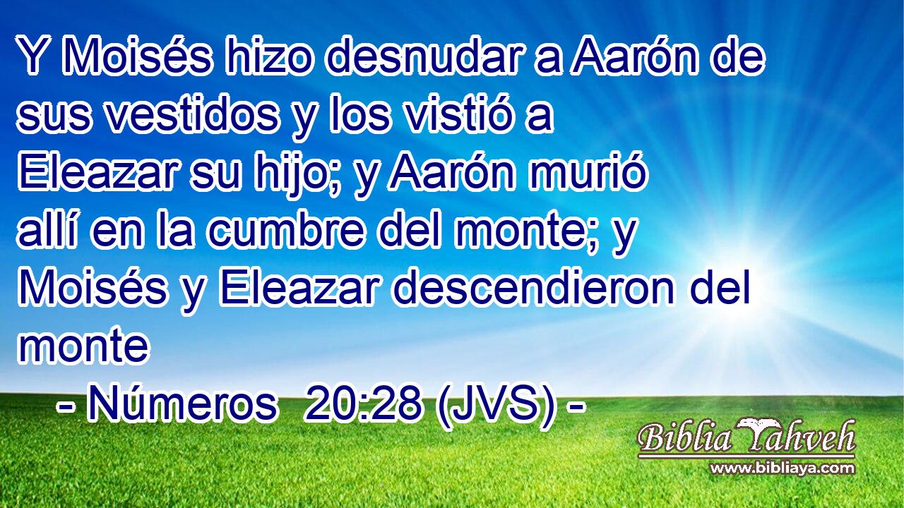 Y Moisés hizo desnudar a Aarón de sus vestidos y los vistió a Eleazar su hijo; y Aarón murió allí en la cumbre del monte; y Moisés y Eleazar descendieron del monte