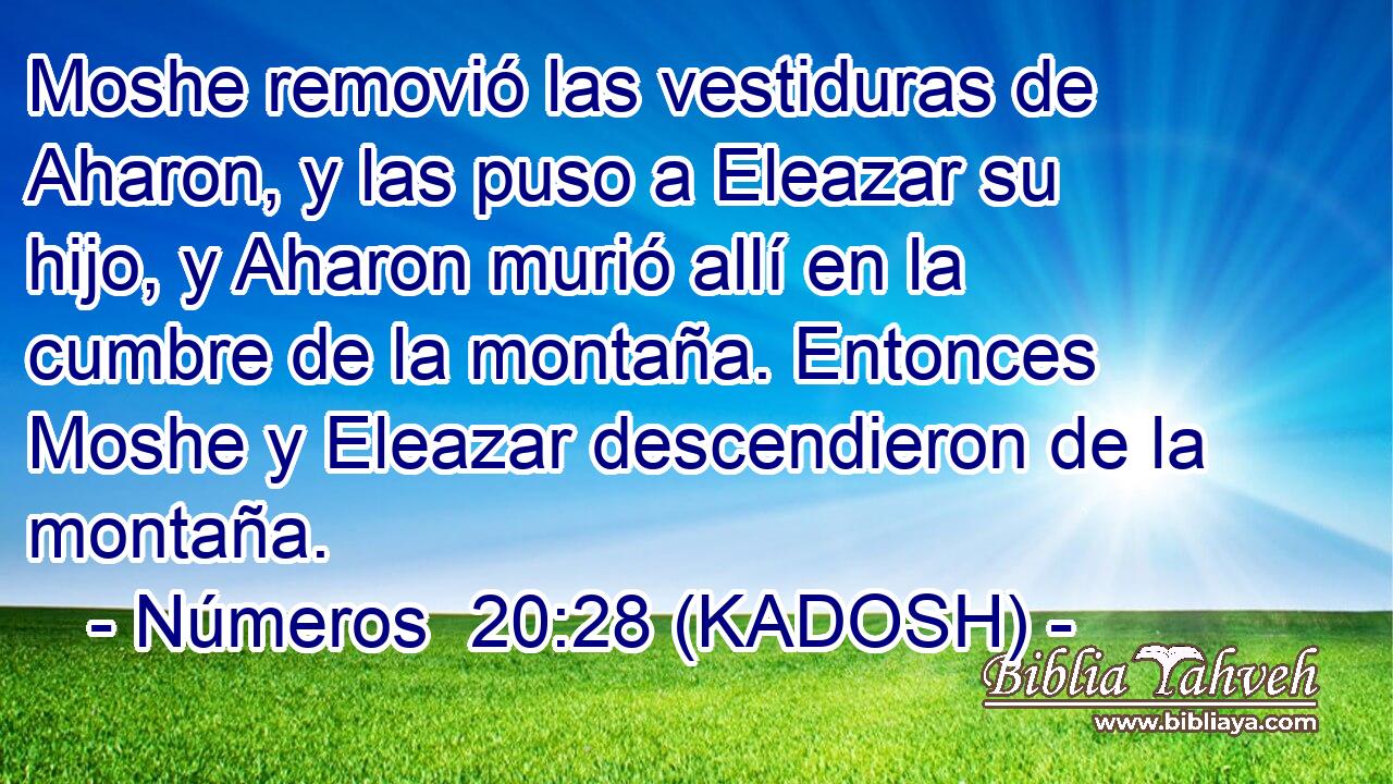  Moshe removió las vestiduras de Aharon, y las puso a Eleazar su hijo, y Aharon murió allí en la cumbre de la montaña. Entonces Moshe y Eleazar descendieron de la montaña. 