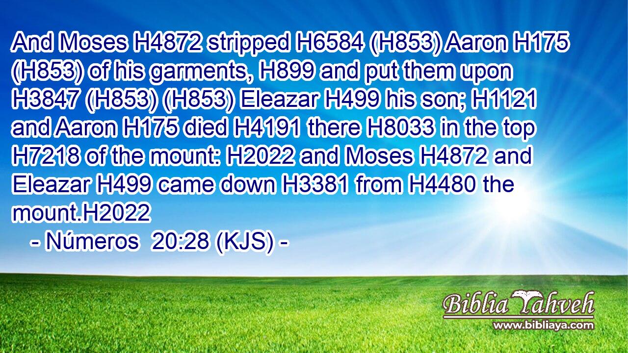 And Moses H4872 stripped H6584 (H853) Aaron H175 (H853) of his garments, H899 and put them upon H3847 (H853) (H853) Eleazar H499 his son; H1121 and Aaron H175 died H4191 there H8033 in the top H7218 of the mount: H2022 and Moses H4872 and Eleazar H499 came down H3381 from H4480 the mount.H2022