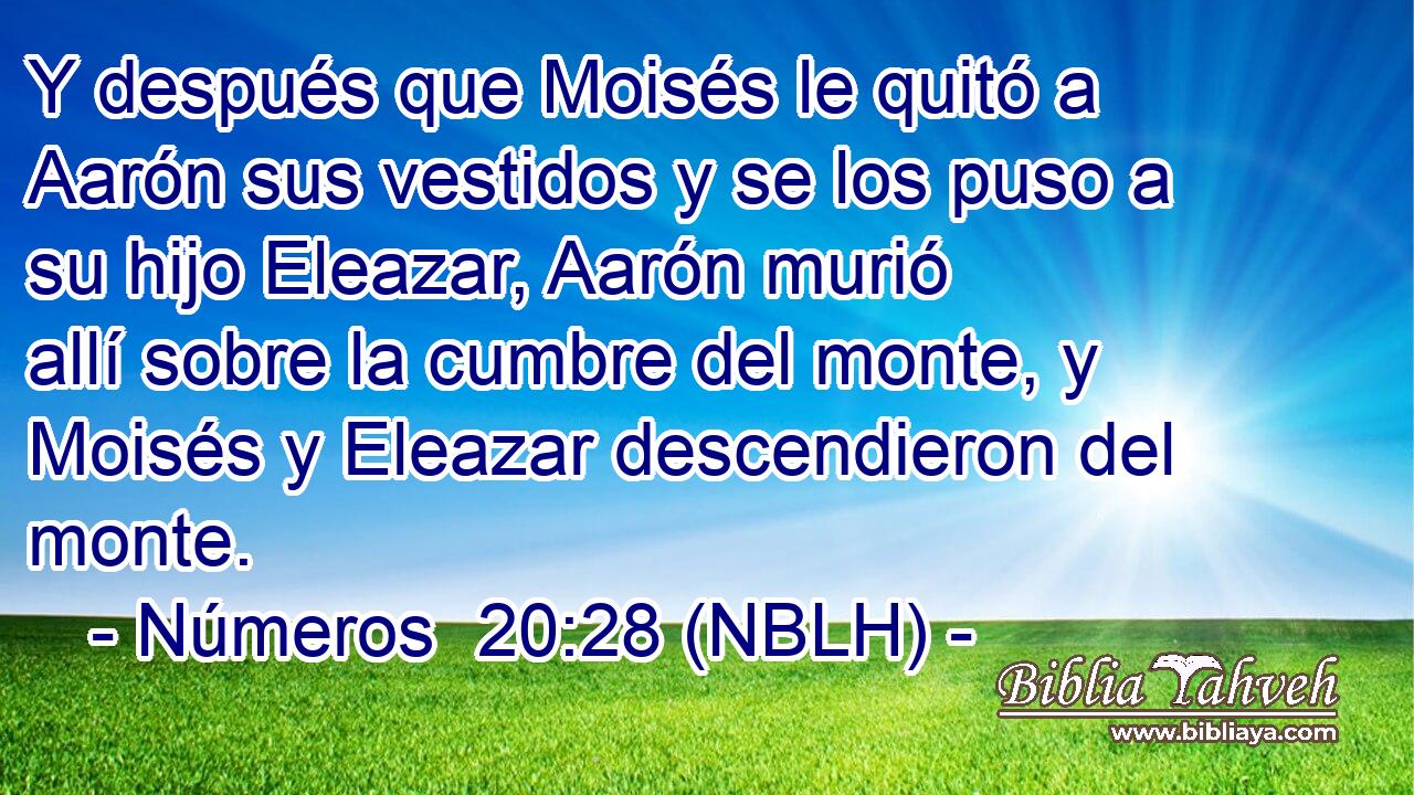 Y después que Moisés le quitó a Aarón sus vestidos y se los puso a su hijo Eleazar, Aarón murió allí sobre la cumbre del monte, y Moisés y Eleazar descendieron del monte. 