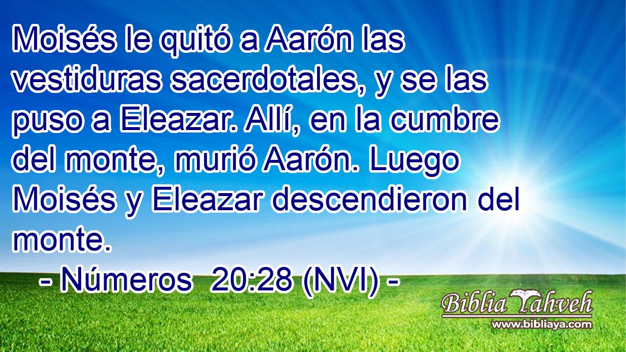  Moisés le quitó a Aarón las vestiduras sacerdotales, y se las puso a Eleazar. Allí, en la cumbre del monte, murió Aarón. Luego Moisés y Eleazar descendieron del monte. 
