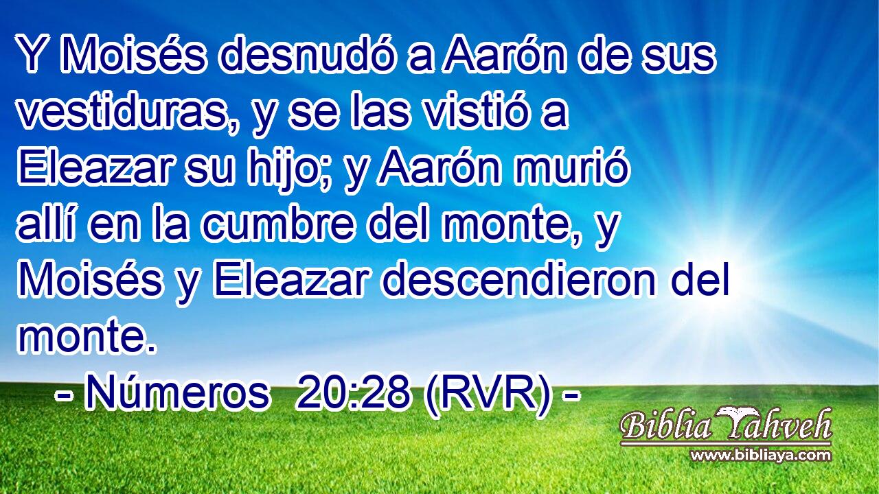 Y Moisés desnudó a Aarón de sus vestiduras, y se las vistió a Eleazar su hijo; y Aarón murió allí en la cumbre del monte, y Moisés y Eleazar descendieron del monte.