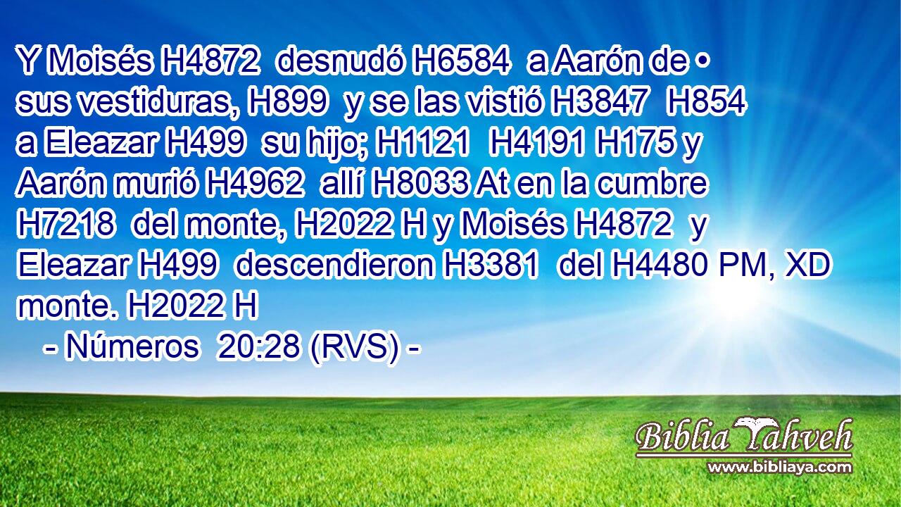 Y Moisés H4872  desnudó H6584  a Aarón de • sus vestiduras, H899  y se las vistió H3847  H854 a Eleazar H499  su hijo; H1121  H4191 H175 y Aarón murió H4962  allí H8033 At en la cumbre H7218  del monte, H2022 H y Moisés H4872  y Eleazar H499  descendieron H3381  del H4480 PM, XD monte. H2022 H 