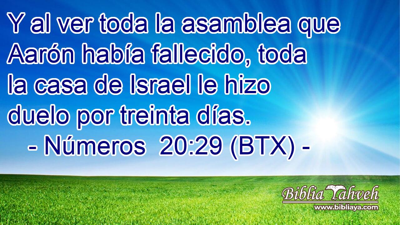 Y al ver toda la asamblea que Aarón había fallecido, toda la casa de Israel le hizo duelo por treinta días.