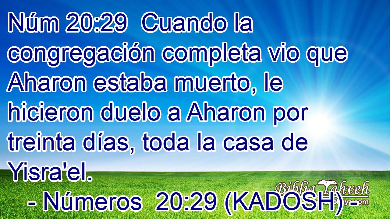  Cuando la congregación completa vio que Aharon estaba muerto, le hicieron duelo a Aharon por treinta días, toda la casa de Yisra'el. 