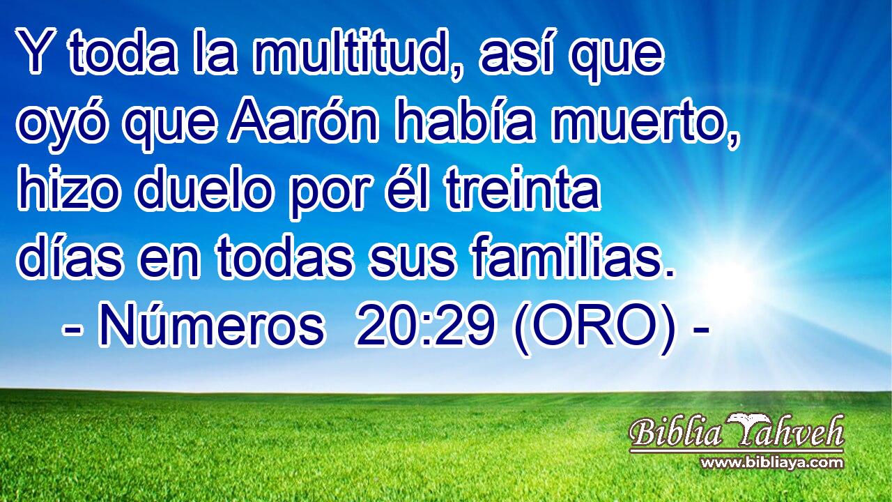  Y toda la multitud, así que oyó que Aarón había muerto, hizo duelo por él treinta días en todas sus familias. 