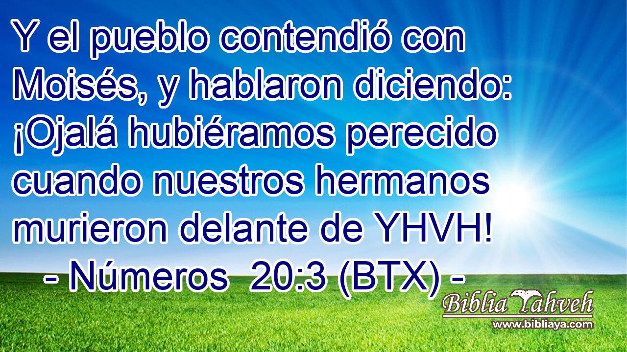 Y el pueblo contendió con Moisés, y hablaron diciendo: ¡Ojalá hubiéramos perecido cuando nuestros hermanos murieron delante de YHVH!