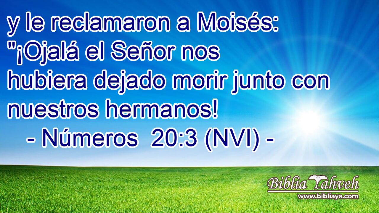  y le reclamaron a Moisés: 