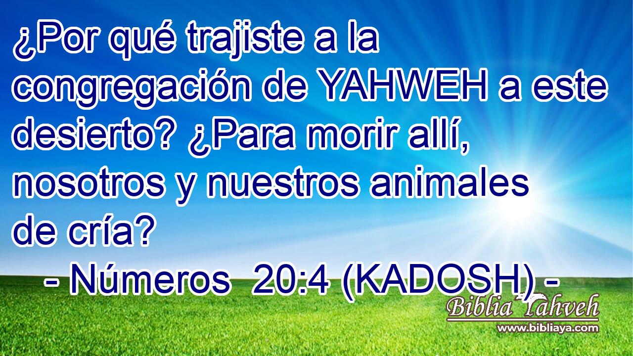  ¿Por qué trajiste a la congregación de YAHWEH a este desierto? ¿Para morir allí, nosotros y nuestros animales de cría? 