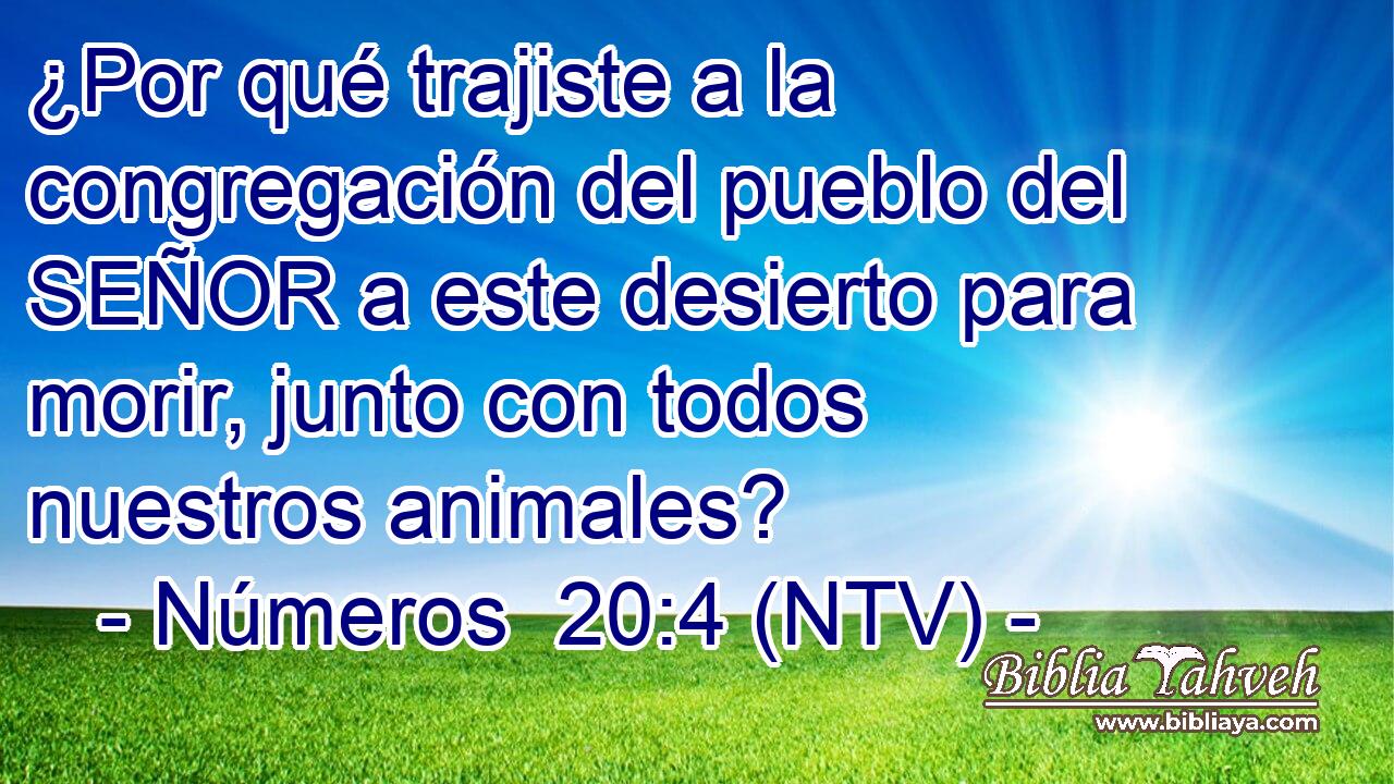 ¿Por qué trajiste a la congregación del pueblo del SEÑOR a este desierto para morir, junto con todos nuestros animales?