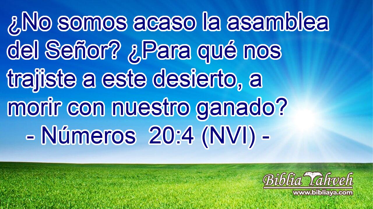  ¿No somos acaso la asamblea del Señor? ¿Para qué nos trajiste a este desierto, a morir con nuestro ganado? 