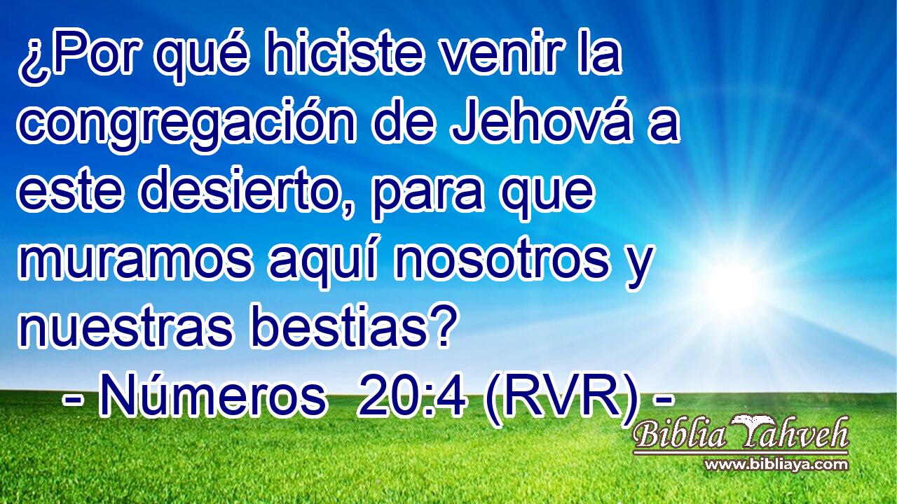 ¿Por qué hiciste venir la congregación de Jehová a este desierto, para que muramos aquí nosotros y nuestras bestias?