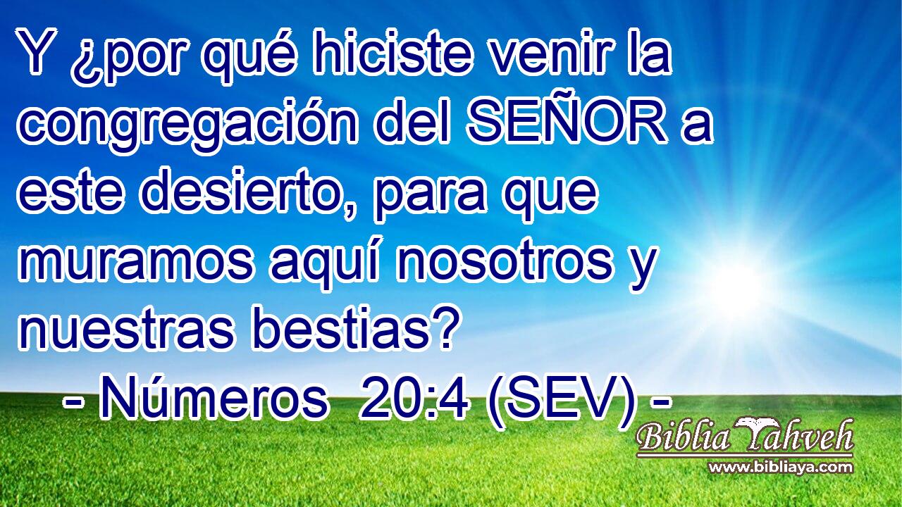 Y ¿por qué hiciste venir la congregación del SEÑOR a este desierto, para que muramos aquí nosotros y nuestras bestias?