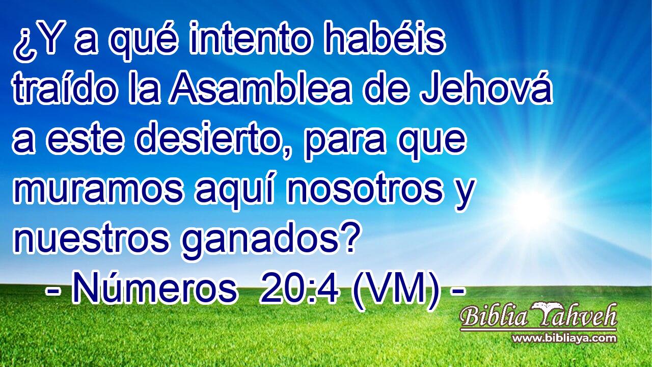  ¿Y a qué intento habéis traído la Asamblea de Jehová a este desierto, para que muramos aquí nosotros y nuestros ganados? 